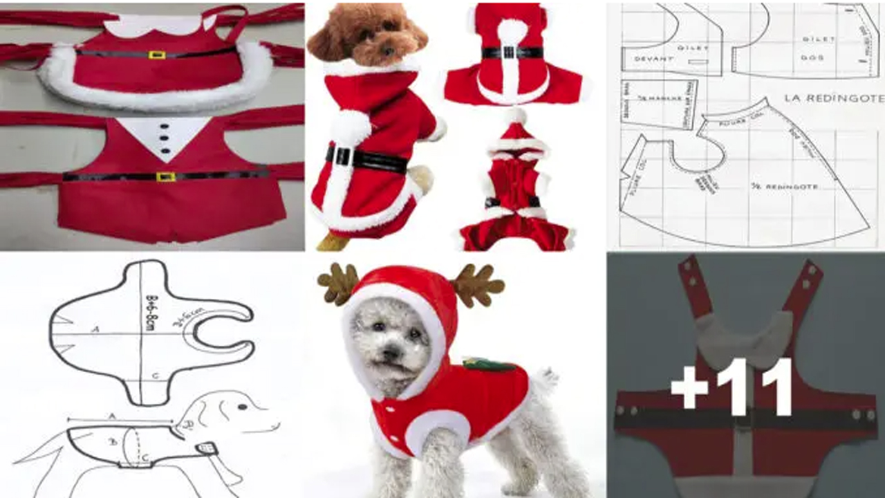 Curso de Cómo Hacer Ropa de Perro Navideña con Patrón Curso de Cómo Hacer Ropa de Perro Navideña con Patrón