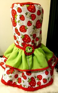 Curso de Cómo Hacer Forros para Licuadoras