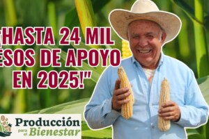¡Hasta 24,000 pesos! para los trabajadores del campo en el programa Producción para el Bienestar hasta-24000-pesos-para-los-trabajadores-del-campo-en-el-programa-produccion-para-el-bienestar