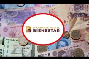 ¡24,000 pesos! Están disponibles para los productores en la Secretaría del Bienestar: sigue estos pasos. 24000-pesos-estan-disponibles-para-los-productores-en-la-secretaria-del-bienestar-sigue-estos-pasos