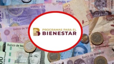 24000-pesos-estan-disponibles-para-los-productores-en-la-secretaria-del-bienestar-sigue-estos-pasos